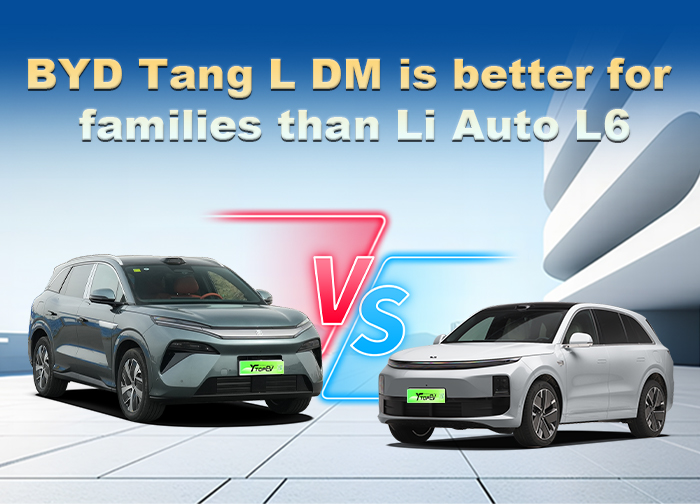 BYD tang l dmi 